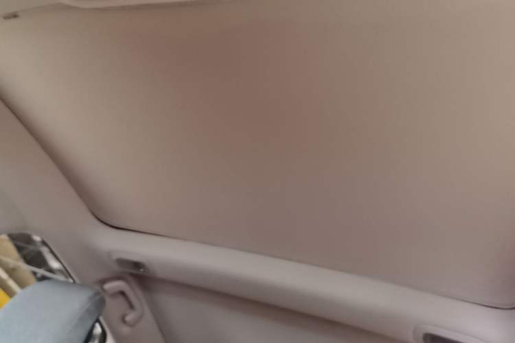 Used XPeng P7 2020 706G Headliner