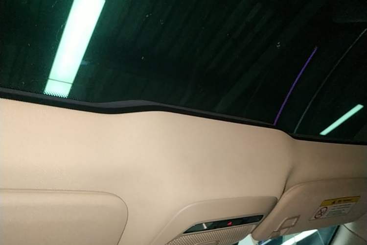 Used XPeng P7 2020 670N Headliner