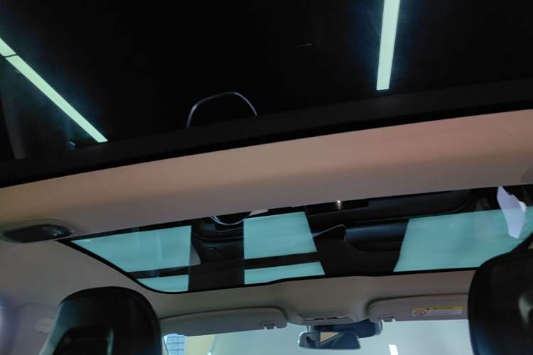 Used XPeng P7 2020 670N Headliner