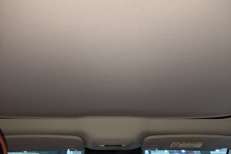 Used XPeng P7 2020 670E Headliner