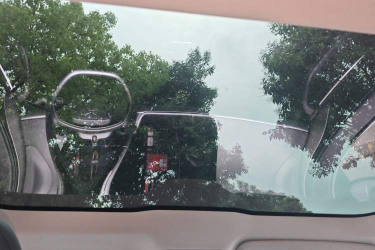 Used XPeng P7 2020 670E Headliner