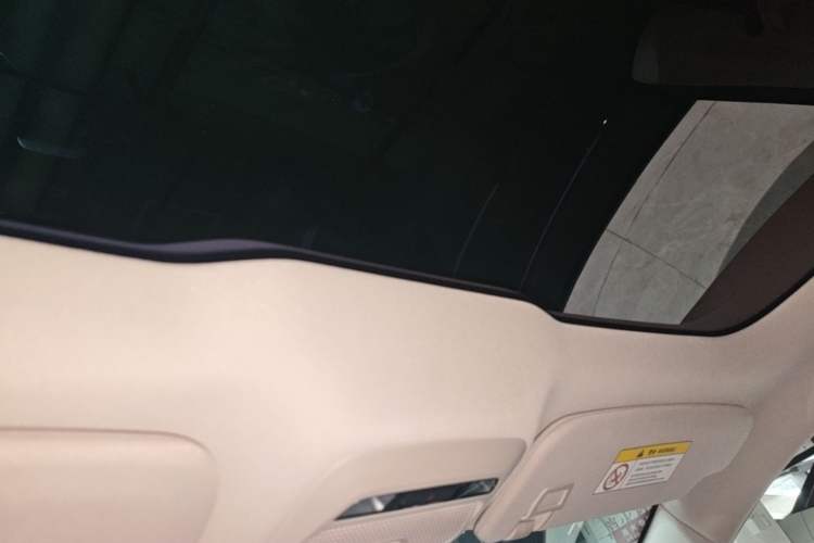 Used XPeng P7 2020 586N Headliner