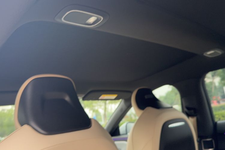Used XPeng P7 2020 670N Headliner