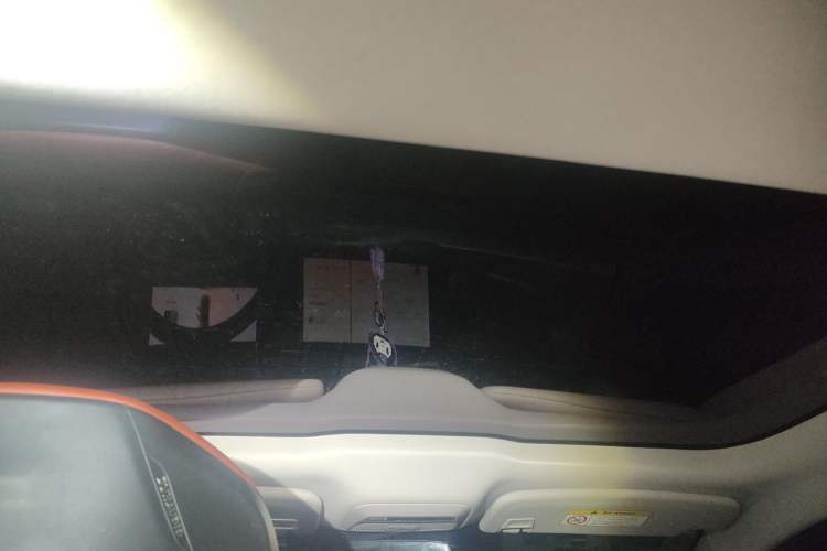 Used XPeng P7 2020 706G Headliner
