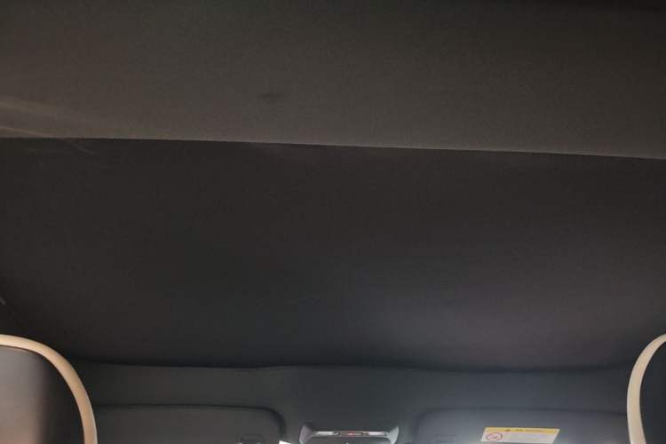 Used XPeng P7 2020 670N Headliner
