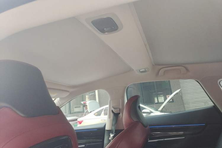 Used XPeng P7 2020 670N Headliner