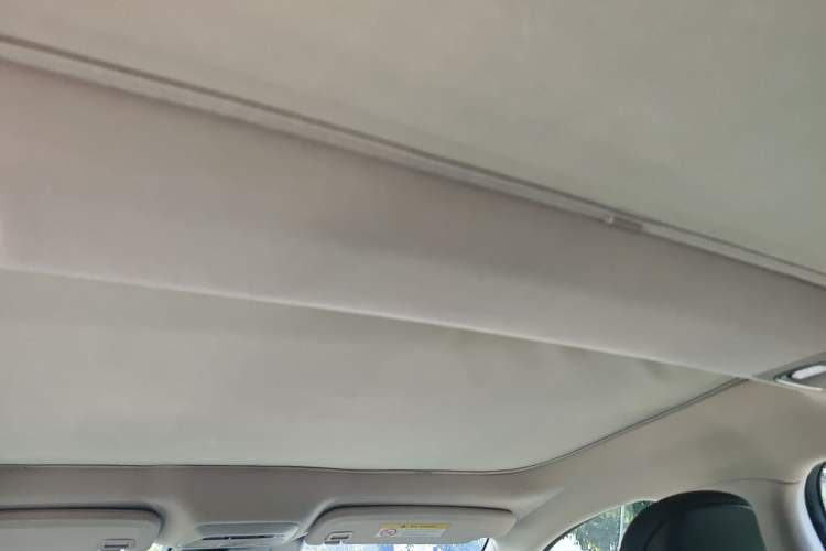 Used XPeng P7 2020 670N Headliner