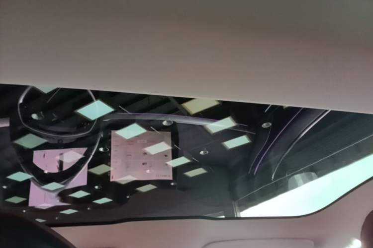 Used XPeng P7 2020 670N Headliner