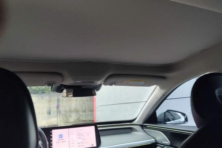 Used XPeng P7 2020 670E Headliner