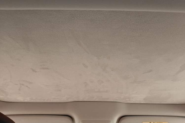 Used XPeng P7 2020 670N Headliner