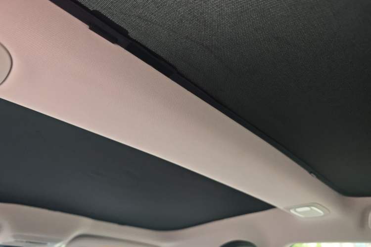 Used XPeng P7 2020 670N Headliner