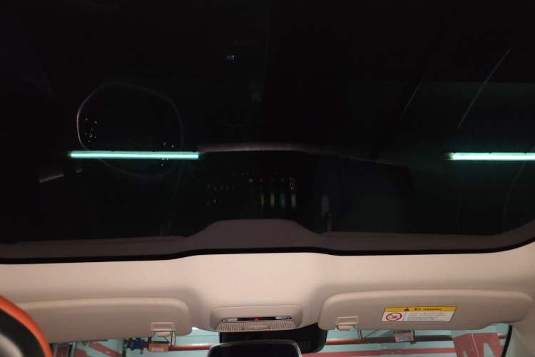 Used XPeng P7 2020 670N Headliner