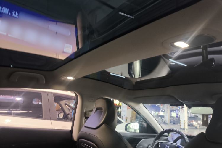 Used XPeng P7 2020 586E Headliner