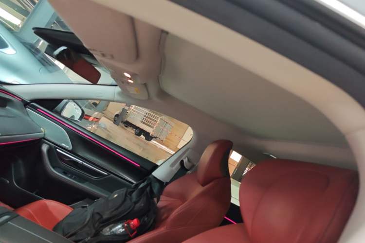 Used XPeng P7 2020 670N Headliner