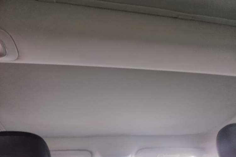 Used XPeng P7 2020 670N Headliner