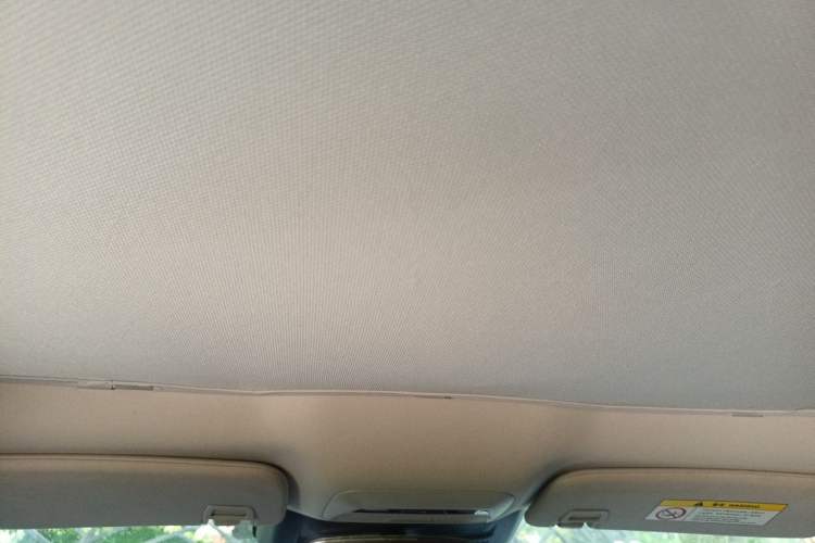 Used XPeng P7 2020 562E Performance Edition Headliner
