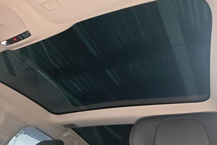 Used XPeng P7 2020 670E Headliner