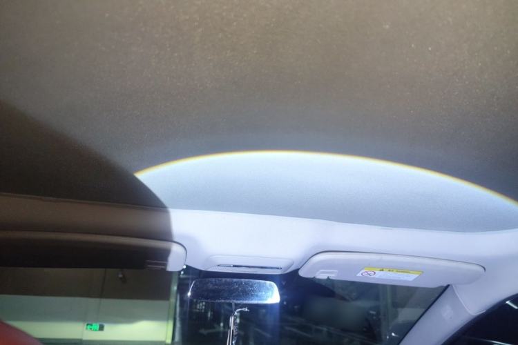 Used XPeng P7 2020 670N Headliner