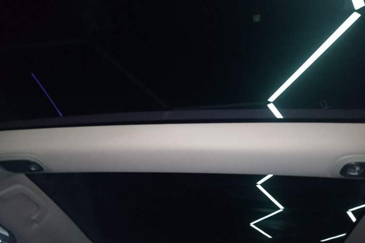 Used XPeng P7 2020 670N Headliner