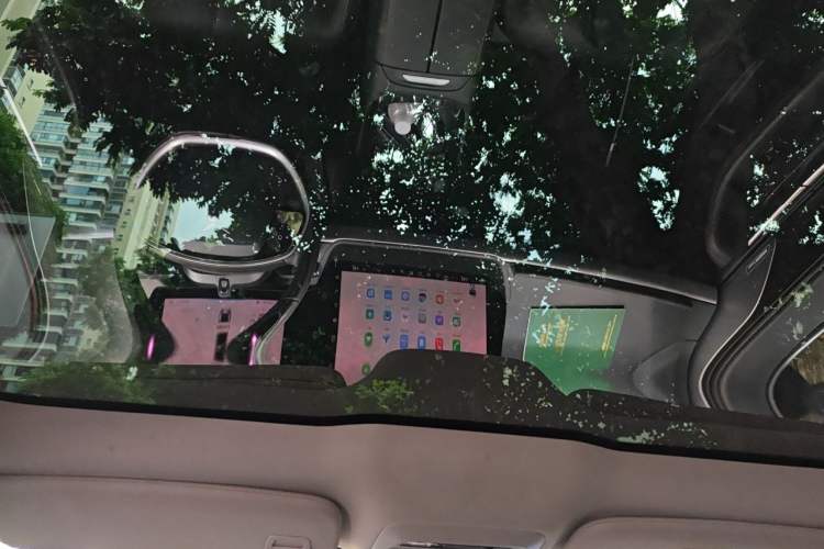 Used XPeng P7 2020 670E Headliner