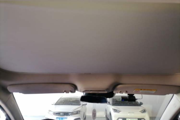 Used XPeng P7 2020 670N Headliner