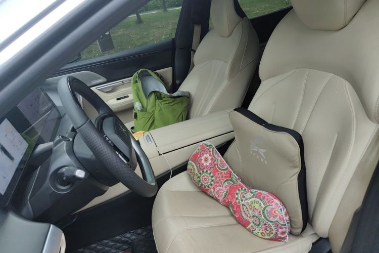 Used XPeng P7 2020 670N Left Front Seat