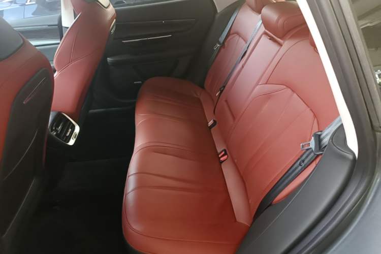 Used XPeng P7 2020 670N Left Rear Seat