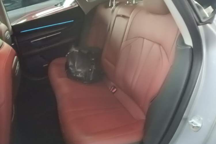 Used XPeng P7 2020 562N Performance Edition Left Rear Seat