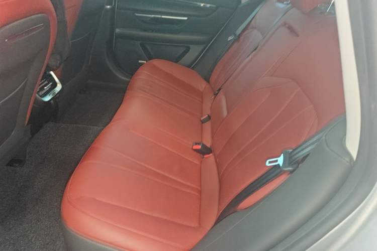 Used XPeng P7 2020 670E Left Rear Seat