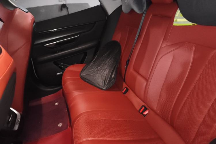 Used XPeng P7 2020 586E Left Rear Seat