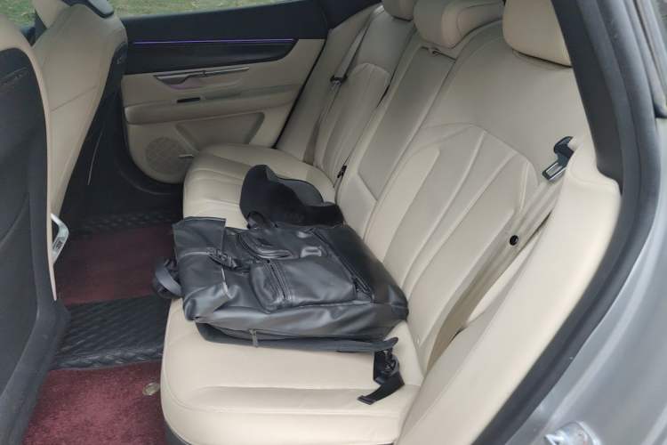 Used XPeng P7 2020 670N Left Rear Seat