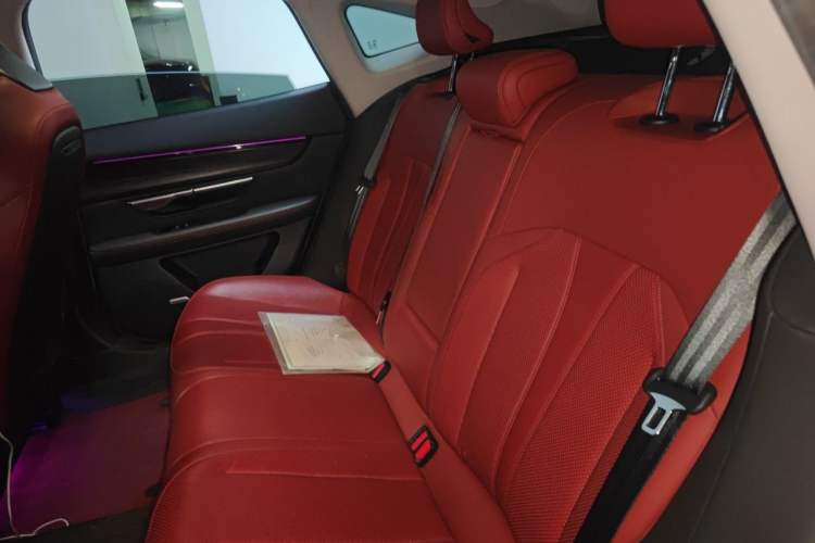 Used XPeng P7 2020 670E Left Rear Seat