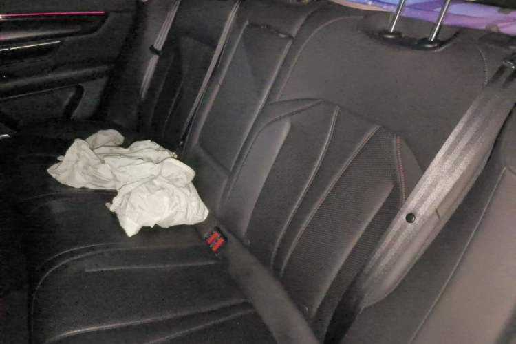 Used XPeng P7 2020 670N Left Rear Seat