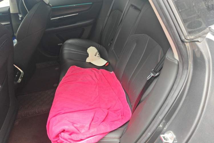 Used XPeng P7 2020 670E Left Rear Seat