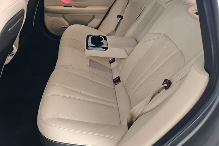Used XPeng P7 2020 670N Left Rear Seat