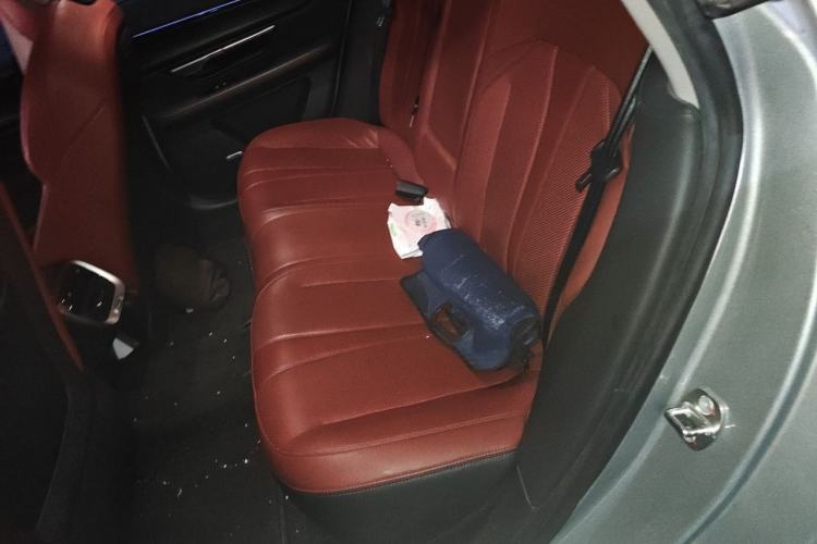 Used XPeng P7 2020 586E Left Rear Seat