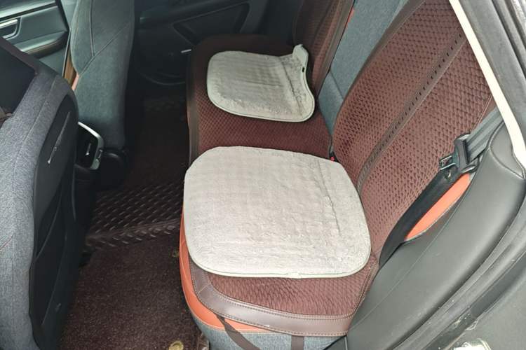 Used XPeng P7 2020 Rear-Drive Long-Range Smart Drive Version Left Rear Seat