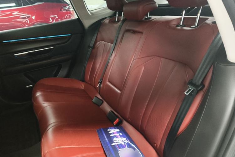 Used XPeng P7 2020 670N Left Rear Seat