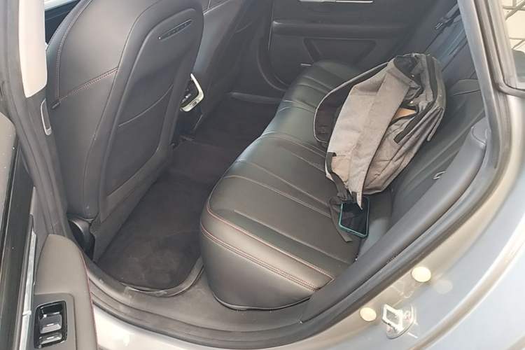 Used XPeng P7 2020 670N Left Rear Seat