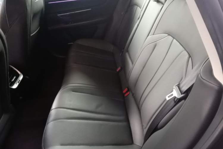 Used XPeng P7 2020 670N Left Rear Seat