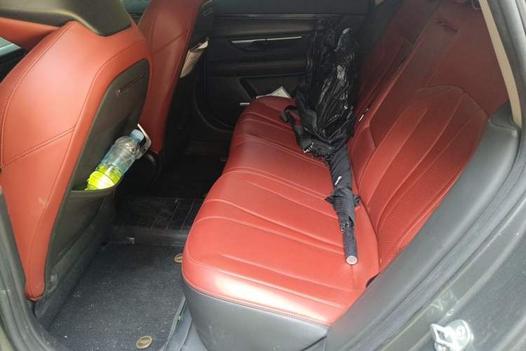 Used XPeng P7 2020 562E Performance Edition Left Rear Seat