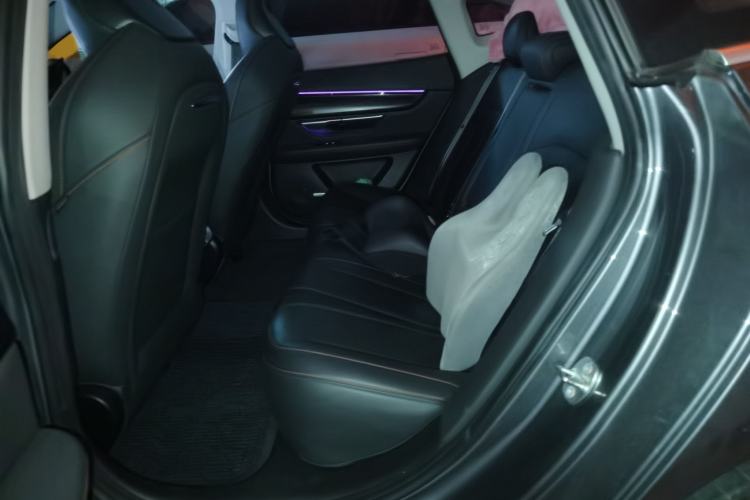 Used XPeng P7 2020 670N Left Rear Seat