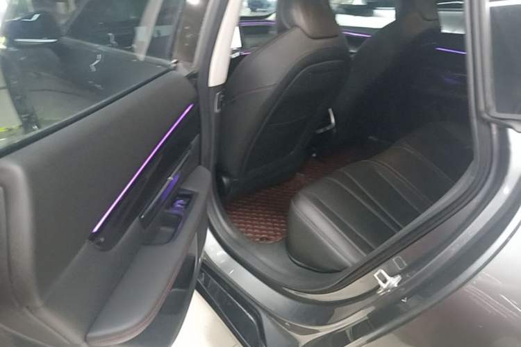 Used XPeng P7 2020 670N Left Rear Seat