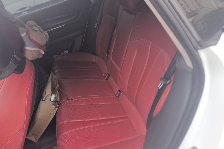 Used XPeng P7 2020 670N Left Rear Seat