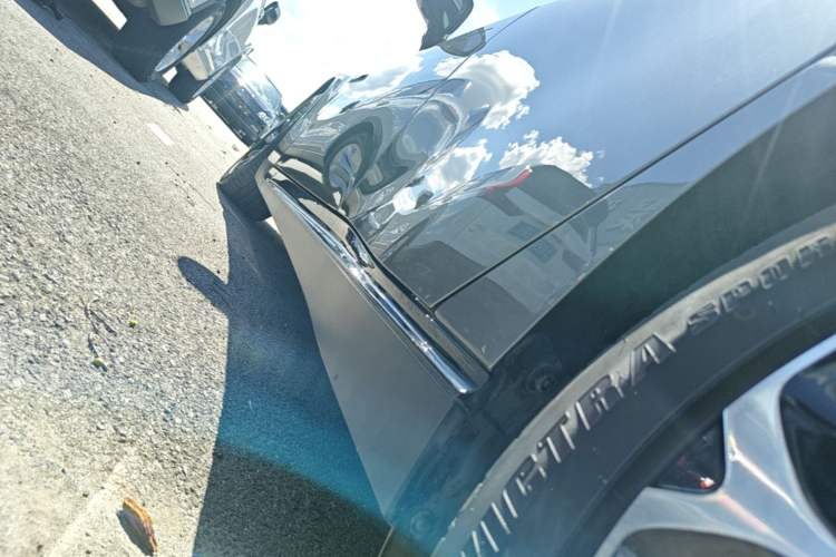 Used XPeng P7 2020 670N Left Side Sill
