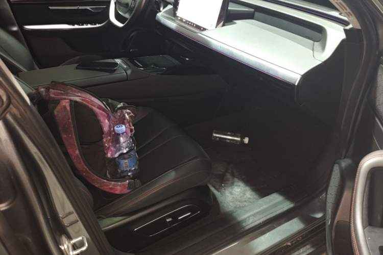 Used XPeng P7 2020 586N Right Front Seat