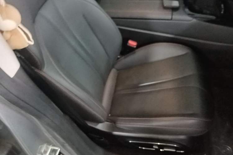 Used XPeng P7 2020 670N Right Front Seat