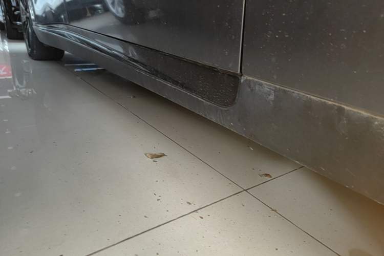 Used XPeng P7 2020 670N Right Side Sill