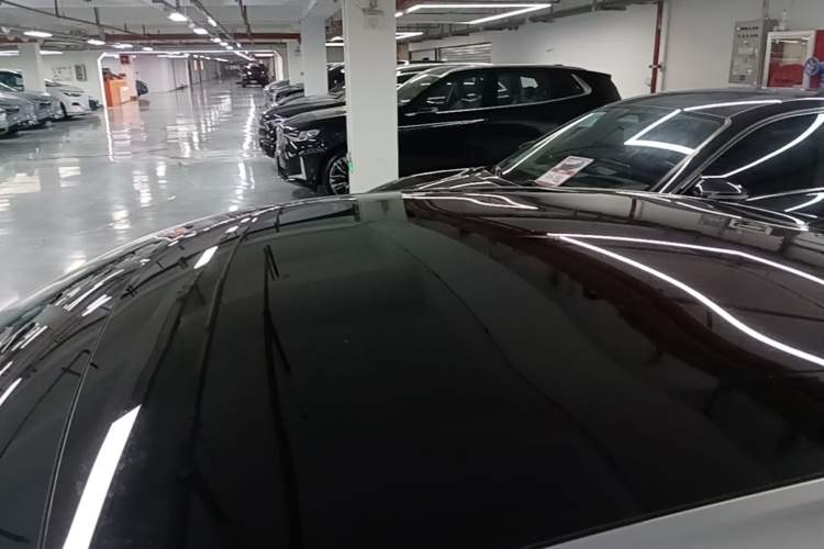 Used XPeng P7 2020 586N Roof