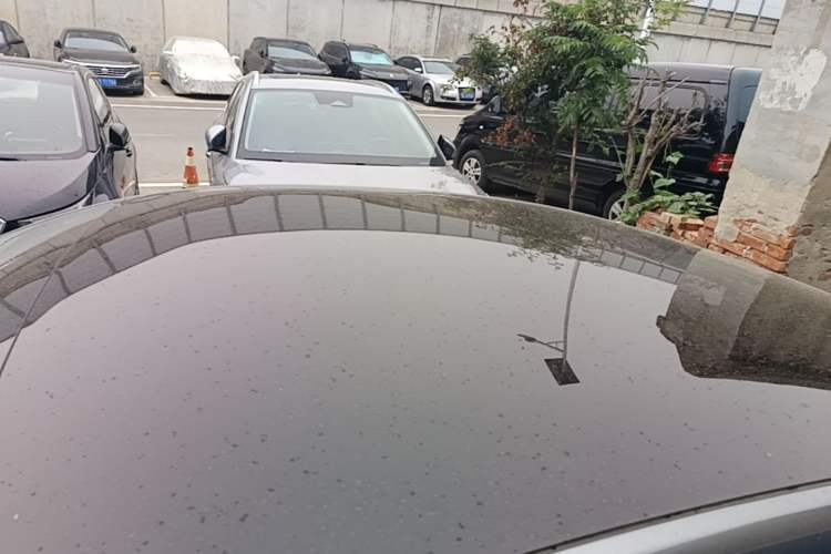 Used XPeng P7 2020 670N Roof